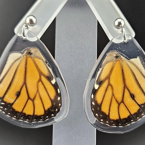 Butterfly Earrings Real Monarch Butterfly Wings