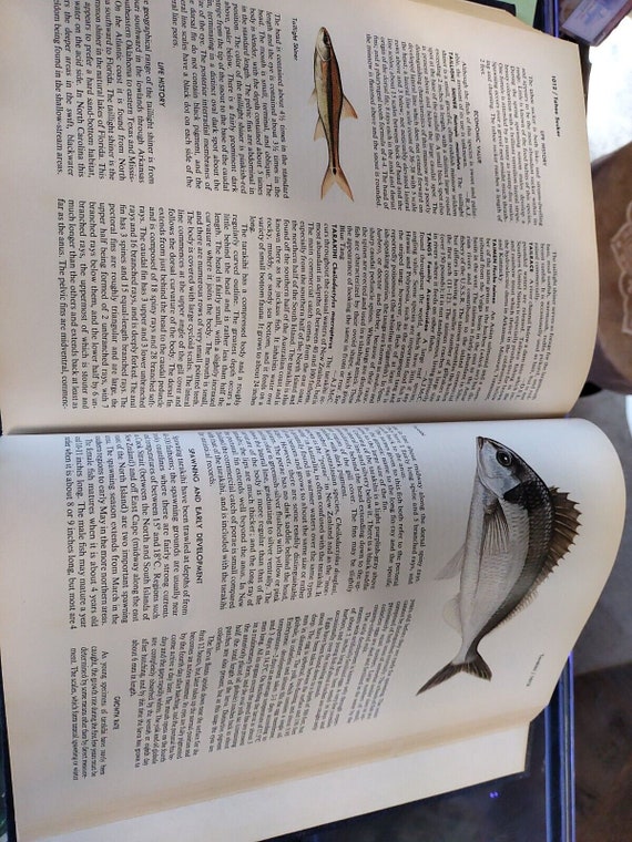 Mcclane's New Standard Fishing Encyclopedia, 1974 Edition 
