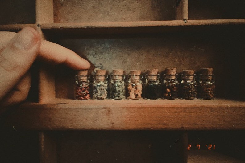 Mini Herb Collection