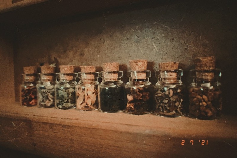 Mini Herb Collection