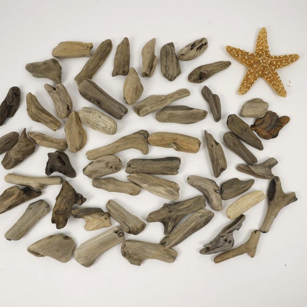 Beautiful Lake Erie Driftwood Pieces, 1" to 3", Hand-Selected, 50 Pieces, for Art, Projects, Bulk, Lot, Natural