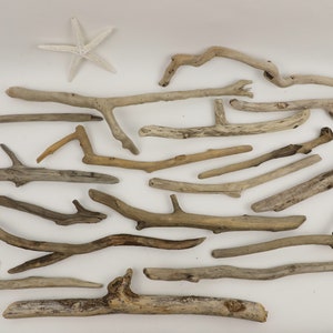 May include: A collection of driftwood branches of various sizes and shapes, arranged on a white background. The branches are light brown and gray in color, with some showing signs of weathering.