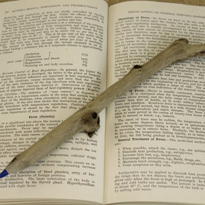 Driftwood Pen, Beach Wedding Pen, Guestbook Pen, Nautical Pen, Rustic Wood Pen, (Extra Pen for Our Driftwood Pen Sets)