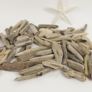 May include: A collection of weathered driftwood pieces in various shapes and sizes, with natural tones of gray, brown, and beige. A white starfish rests above the driftwood on a white background. Ideal for coastal decor.
