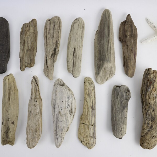 12 Pieces of Driftwood, 6-10 Inch, 6-10", Chunky Pieces, Driftwood Chunks, Twelve Pieces, Lake Erie Driftwood, Driftwood Supply, Craft Wood