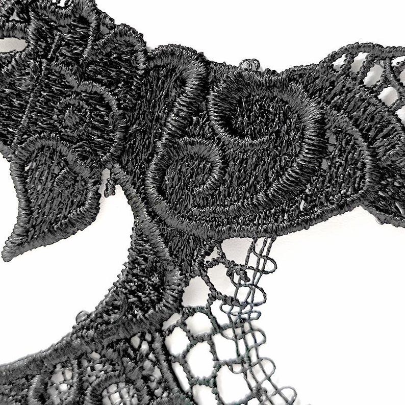 May include: Close-up of black lace trim with detailed floral and scrollwork embroidery. The delicate design features solid and openwork patterns, creating a textured and elegant aesthetic. The trim is set against a white background.