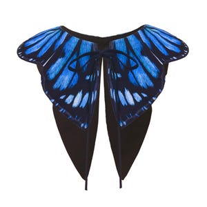 Könnte beinhalten: Ein abnehmbarer Kragen mit einem leuchtend blauen und schwarzen Schmetterlingsflügelmuster. Das Accessoire hat zwei spitz zulaufende Vorderteile und wird in der Mitte mit dünnen schwarzen Stoffbändern gebunden, was eine flügelartige Form ergibt.
