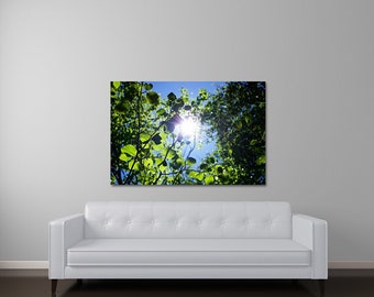 Peaceful Nature Art, Forest Canvas Art, Large Green Wall Art, Birch Tree Photography