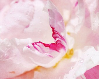 Light Pink Art, Peony Photography, Abstract Flower Art, Fine Art Print