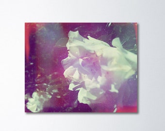 White Rose Art, Vintage Photography, White Flower Art, Flower Canvas Art, Fine Art Photography, Endless Summer