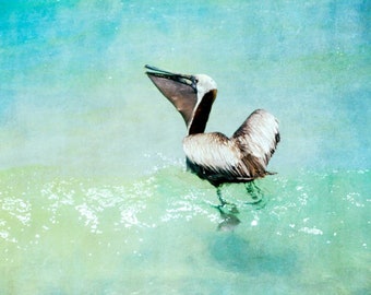 Pelican Photography Print, Florida Beach Art Print, Siesta Key Sarasota Wall Art