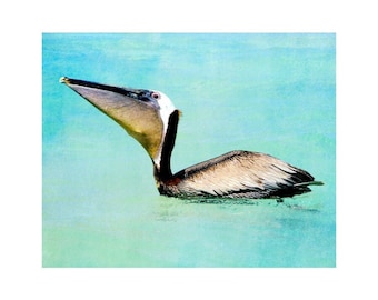 Florida Art, Pelican Wall Art, Siesta Key Beach Art