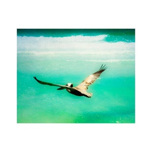 Pelican Wall Art, Siesta Key Art, Florida Photography Print