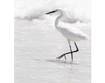 Snowy Egret Art, Beach House Decor, Coastal Art, Florida Bird Photography