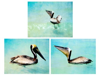 Pelican Art Set, Florida Bird Photography, Coastal Nature Photography, Set Of 3 Prints