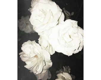 White Rose Art, Dark Cottagecore Art, Witch Art, White Flower Photography, Magical Roses At Night