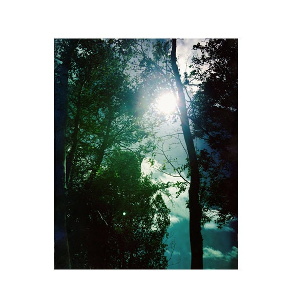 Nature Photography Prints Zen Decor Vertical Forest Art Etsy Nature Photography Prints Zen Decor Vertical Forest Art Etsy