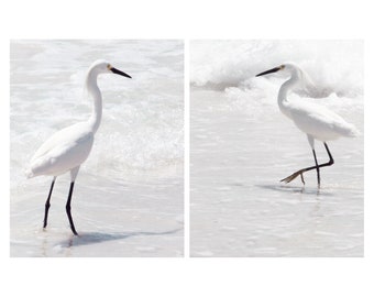 Snowy Egret Print Set, Siesta Key Photography, Beach Condo Art, Heron Photography, Set Of 2 Prints