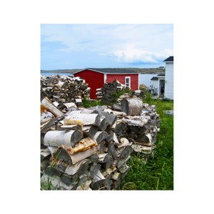 May include: A large pile of stacked birch logs in front of a red wooden house with a white trim. The house has a white door and windows. The logs are stacked in a neat and organized manner.
