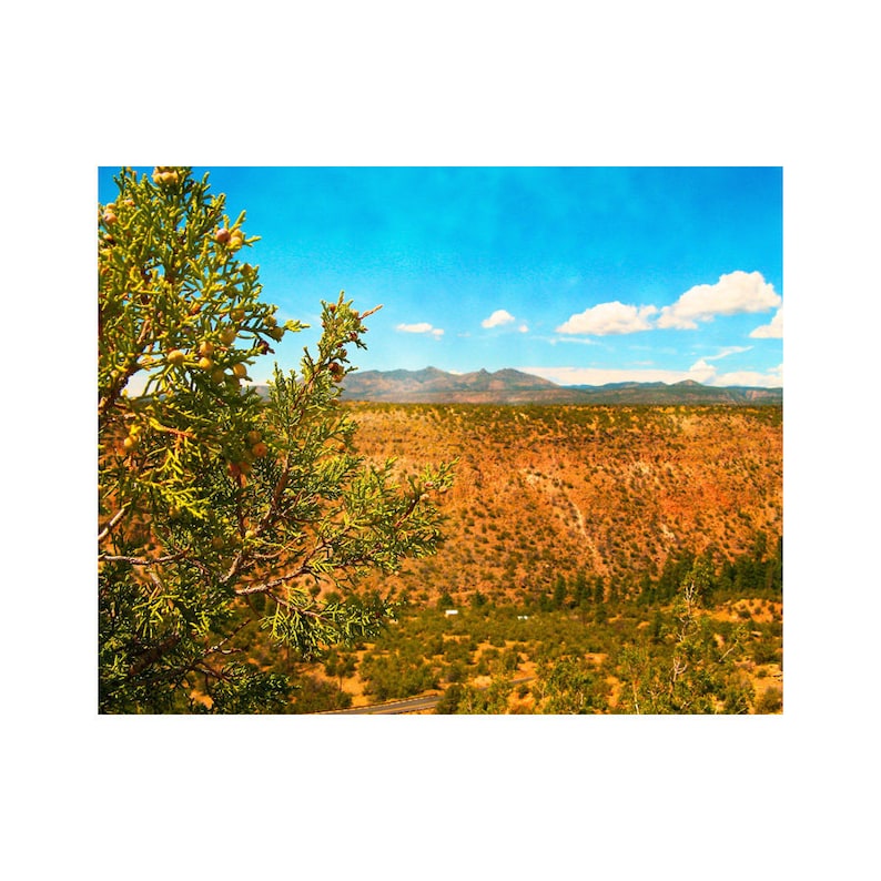 American Southwest Photography Print New Mexico Art Frijoles Canyon Art