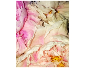 Abstract Peony Art, Boho Art, Modern Flower Art, Pink Art Prints For Bedroom, Flower Petals Wall Art