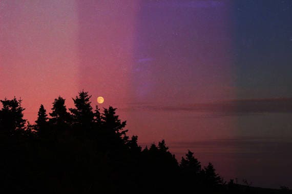 Moon Art Night Photography Moon Photography Forest Etsy