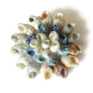 Shell Cluster Brooch Natural Ocean Seashell Pin Mid Century Coastal Beach Jewellery Vintage Nautical Sea Life Gift for Her