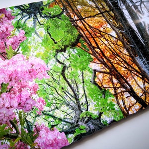 May include: A jigsaw puzzle depicting four trees in different seasons. The tree on the left is in full bloom with pink flowers, the next tree is green with new leaves, the third tree is in autumn with orange and yellow leaves, and the last tree is bare with white snow on its branches.
