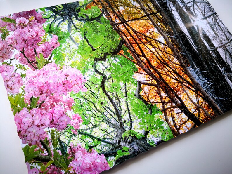 May include: A jigsaw puzzle depicting four trees in different seasons. The tree on the left is in full bloom with pink flowers, the next tree is green with new leaves, the third tree is in autumn with orange and yellow leaves, and the last tree is bare with white snow on its branches.