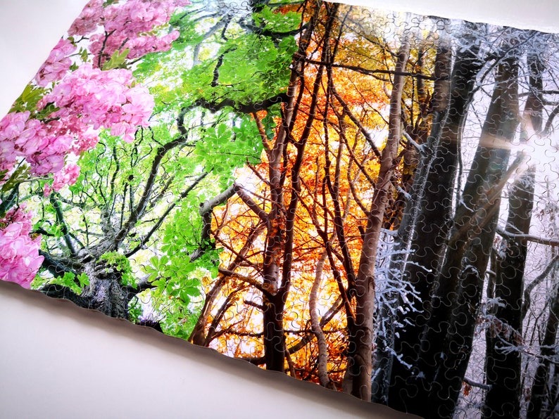 May include: A jigsaw puzzle depicting four seasons of a forest. The left side shows a tree in full bloom with pink flowers. The next section shows the same tree with green leaves. The third section shows the tree with orange and yellow leaves. The final section shows the tree with bare branches covered in snow.