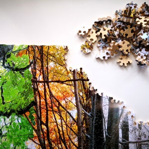 May include: A jigsaw puzzle depicting a forest scene with trees in different seasons. The puzzle is partially completed, with the spring, summer, and fall sections assembled. The winter section is missing pieces.