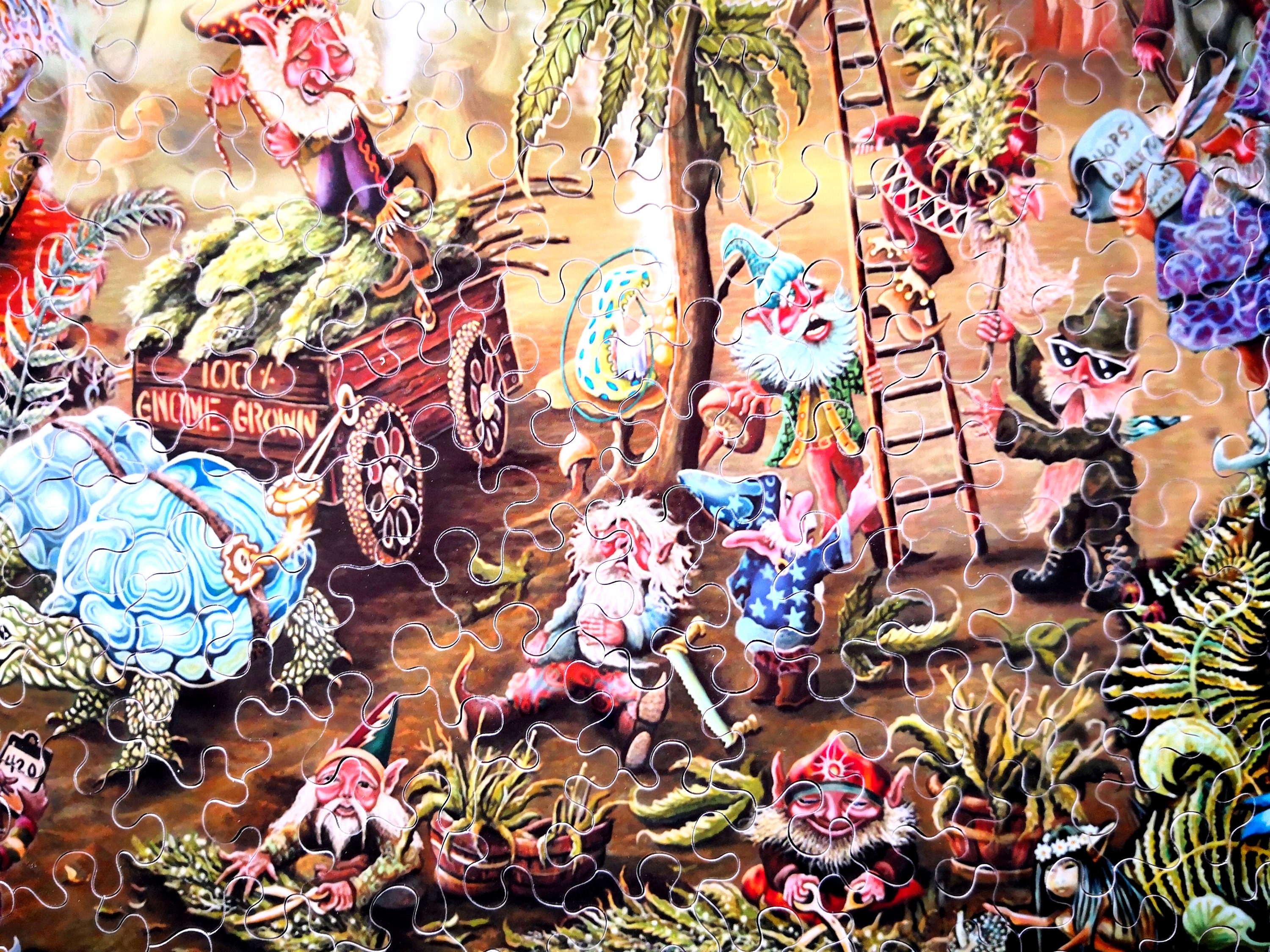 Grandi puzzle per adulti 300 pezzi gnomo succulente puzzle per adulti giocattoli regalo decorazione famiglia puzzle bambini