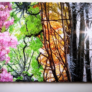 May include: A jigsaw puzzle depicting four seasons of a forest. The puzzle shows a tree with pink blossoms, a tree with green leaves, a tree with orange leaves, and a tree with snow-covered branches.
