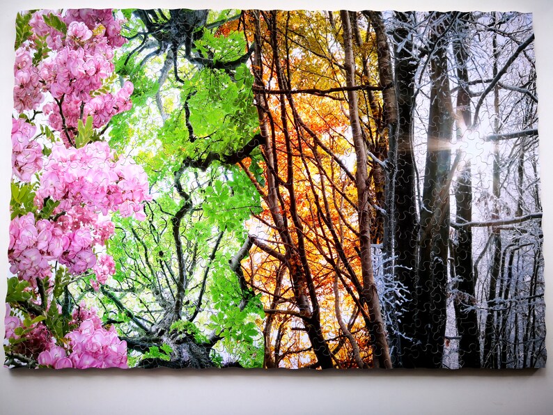 May include: A jigsaw puzzle depicting four seasons of a forest. The puzzle shows a tree with pink blossoms, a tree with green leaves, a tree with orange leaves, and a tree with snow-covered branches.