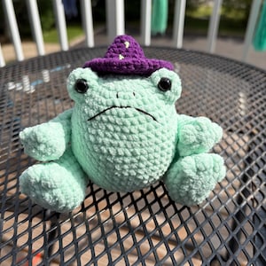 May include: A light mint green crocheted frog plush toy with a round body, two black plastic eyes, and a stitched mouth. The frog wears a small, dark purple crocheted pointed hat featuring a light green embroidered star on the front.