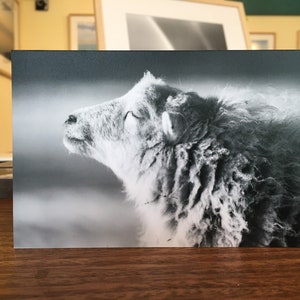 Fotoabzug auf Holz (MDF) * 10x15 cm * Sonnenbaden - Pellworm *