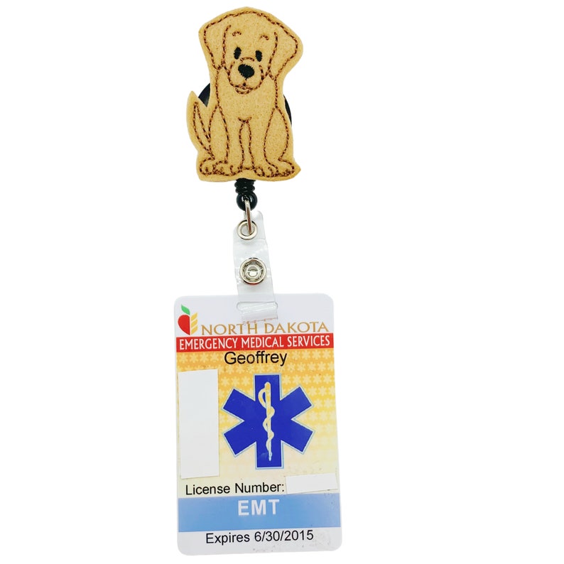 Lab Badge Reel Lab Badge Holder Lab Badge Lab Gift - Etsy