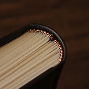 K&ouml;nnte beinhalten: Nahaufnahme des Buchr&uuml;ckens eines gebundenen Buches mit einem dunkelbraunen Ledereinband und einem dekorativen goldenen und roten Band.