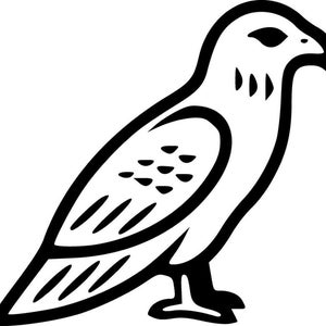 Può includere: Un'illustrazione grafica in bianco e nero di un uccello rapace, probabilmente un falco o uno sparviero, mostrato di profilo. Il design presenta spessi contorni neri e segni stilizzati sull'ala e sul collo su uno sfondo bianco.