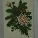 see more listings in the Bookcovers,postcard etc. section