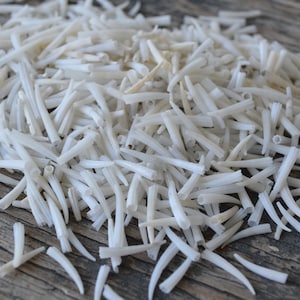 May include: A pile of small, white,  natural seashells. The shells are long and slender, resembling tiny, white sticks.