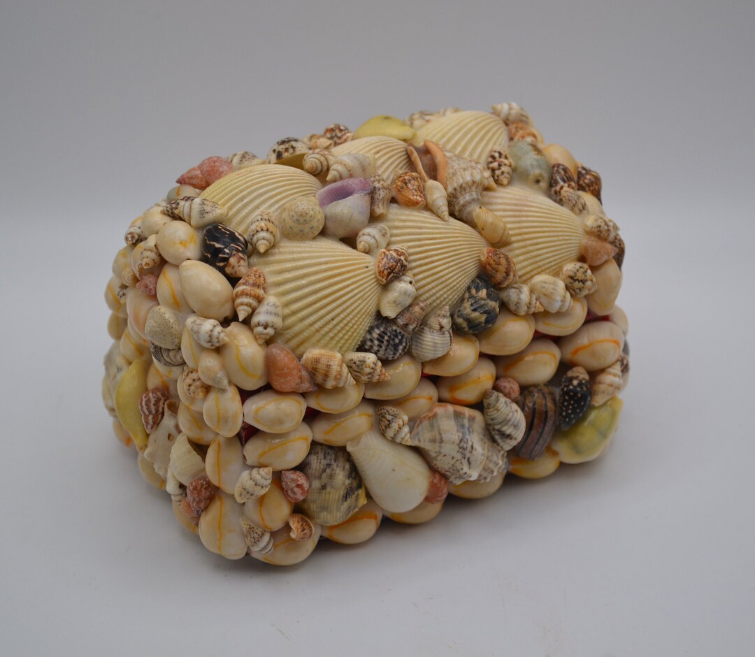 RARE Vintage Seashell Treasure Chest, Seashell Jewlery Box, Trinket Box