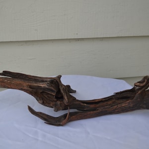 OOAK Driftwood Sculpture