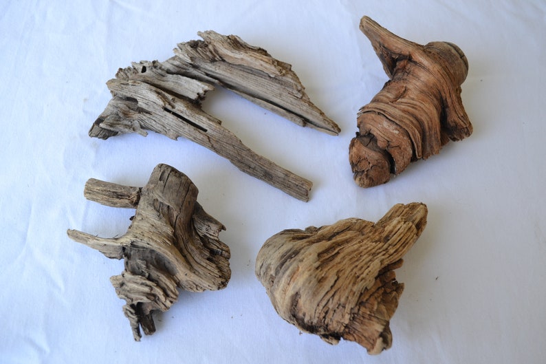 DWB31 4 Piece Driftwood Lot