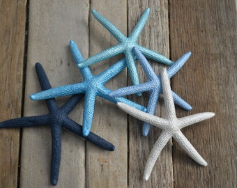 Painted Starfish 3-4" | 5  "Starry Night"