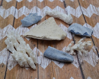 Mixed Coral Pieces for Craft Supply, Wedding Decor (CL311)| 6 Pieces