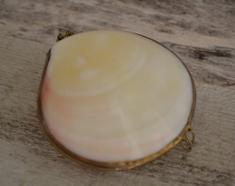Polished Tiger Clam Shell Coin Purse, Pill Box, Trinket Case | 1 Piece