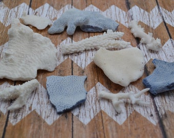 Mixed Coral Pieces for Craft Supply, Wedding Decor (CL312)| 11 Pieces