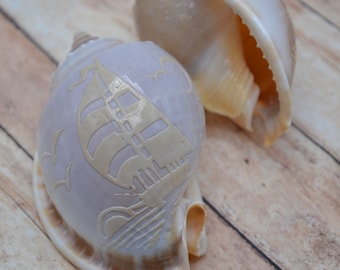 Carved Bonnet Shells, Sailboat, White Channeled Bonnet (apx 3.0 - 3.5") | 1 Shell