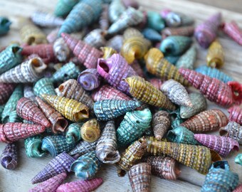 Pearled Paint Cerethium Shells (1/2 - 1") | 1/4 Cup